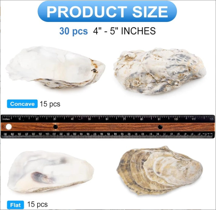 Pearl-Adorned Natural Oyster Shells (30pc Coastal Set)