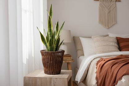 Handwoven Wicker Planter Basket with Liner – Indoor Plant Pot Cover (Boho Rustic Decor)