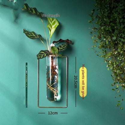 Wall-Mounted Glass Propagation Planter