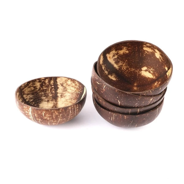 Coconut Shell Bowl