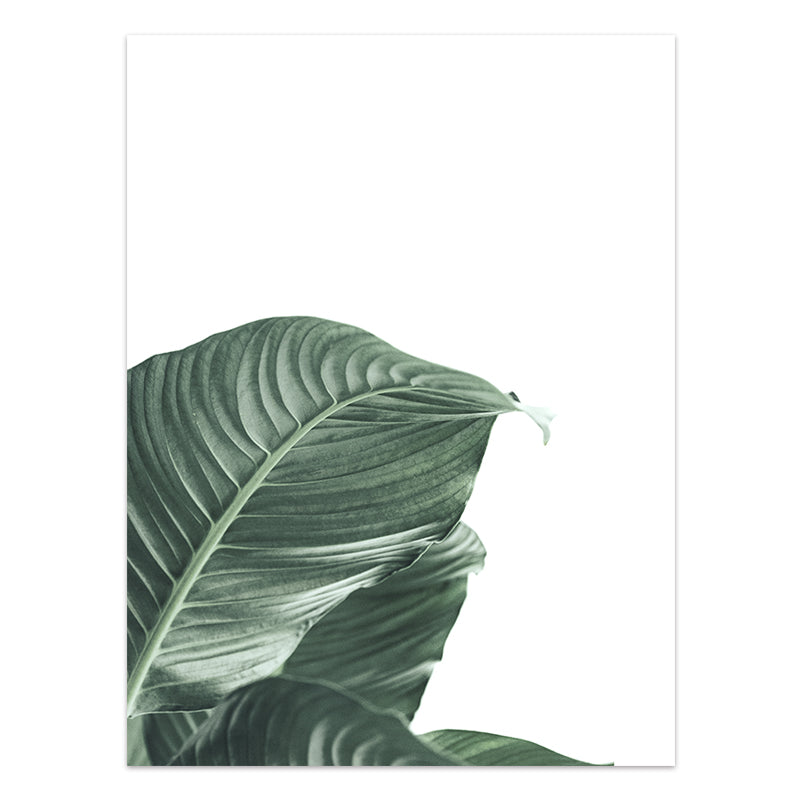 Tropical Leaf Canvas Wall Art Print