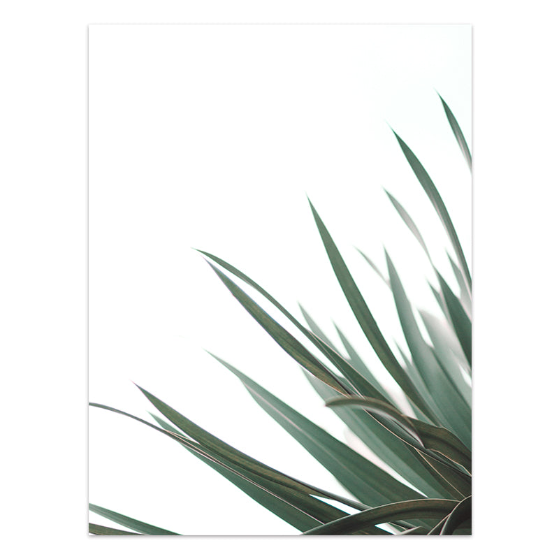 Tropical Leaf Canvas Wall Art Print