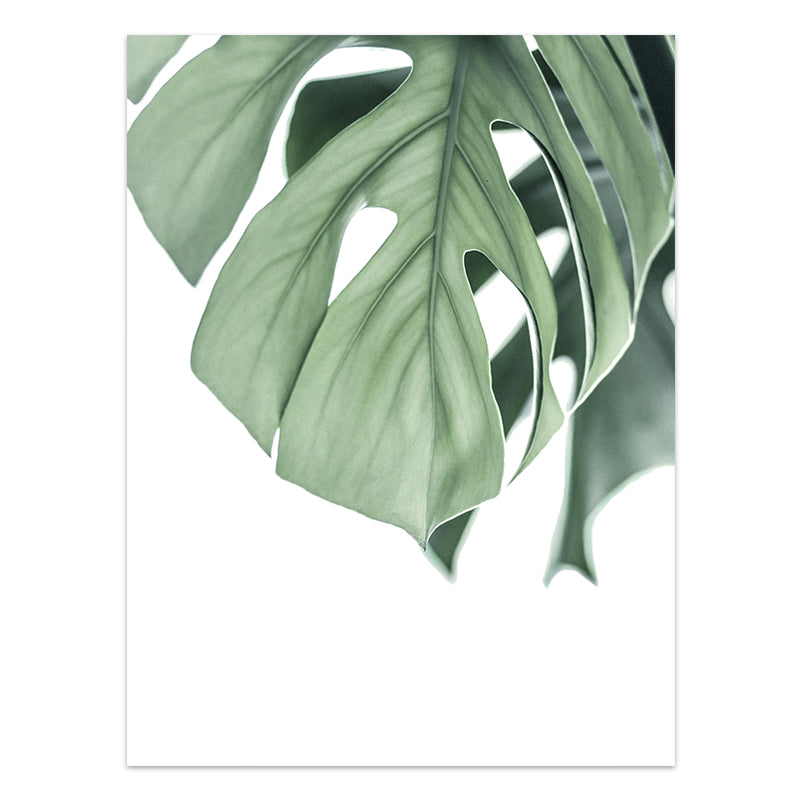 Tropical Leaf Canvas Wall Art Print