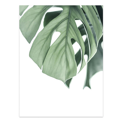 Tropical Leaf Canvas Wall Art Print