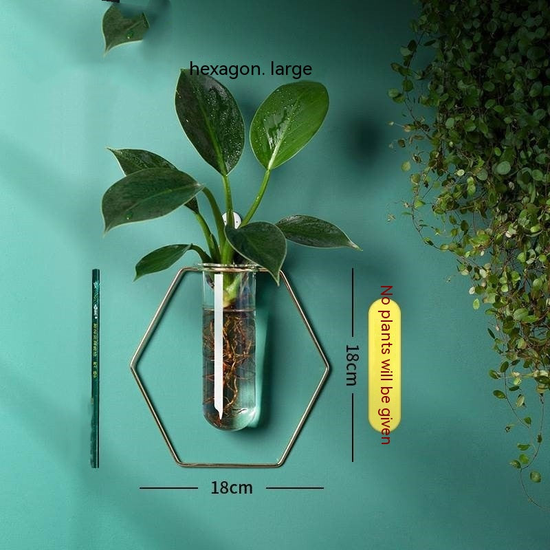 Wall-Mounted Glass Propagation Planter