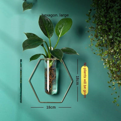 Wall-Mounted Glass Propagation Planter