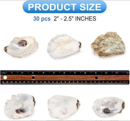 Pearl-Adorned Natural Oyster Shells (30pc Coastal Set)