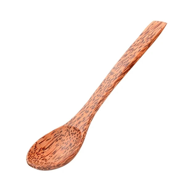 Coconut Shell Bowl