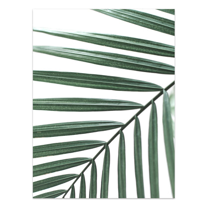 Tropical Leaf Canvas Wall Art Print
