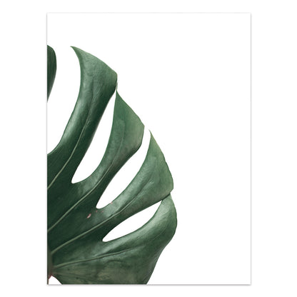 Tropical Leaf Canvas Wall Art Print