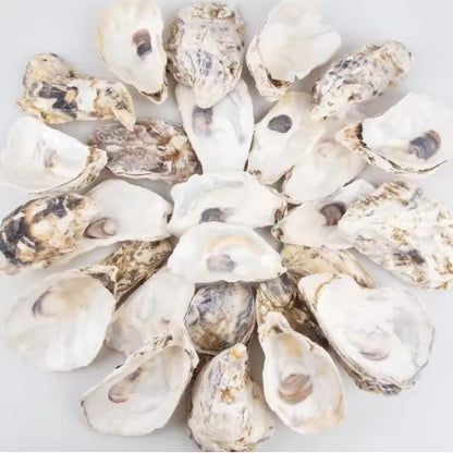 Pearl-Adorned Natural Oyster Shells (30pc Coastal Set)