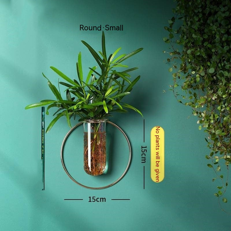 Wall-Mounted Glass Propagation Planter