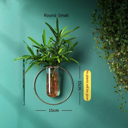 Wall-Mounted Glass Propagation Planter