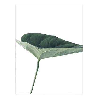 Tropical Leaf Canvas Wall Art Print