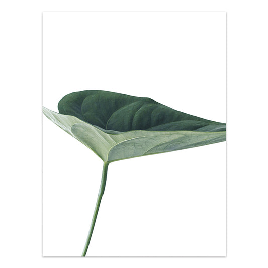 Botanical Leaf Canvas Wall Art Print – Minimalist Tropical Nature Decor
