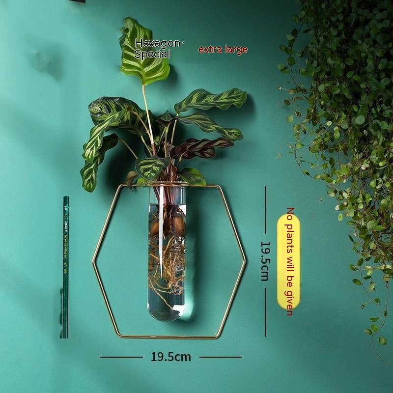 Wall-Mounted Glass Propagation Planter