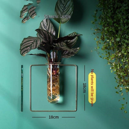 Wall-Mounted Glass Propagation Planter