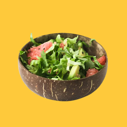 Natural Coconut Shell Bowls