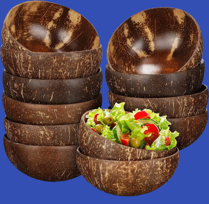 Natural Coconut Shell Bowls
