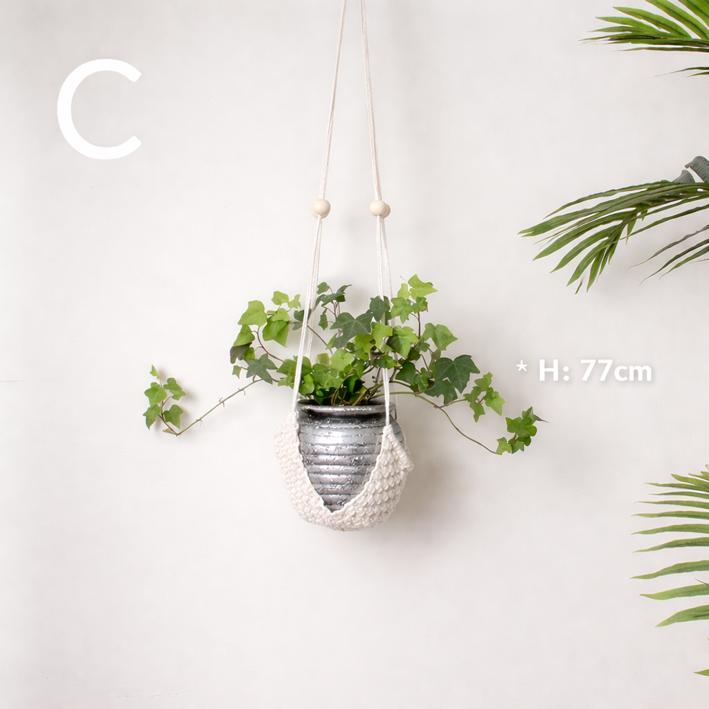 Boho Cotton Rope Hanging Plant Holder – Minimalist Indoor Macramé Planter Hanger