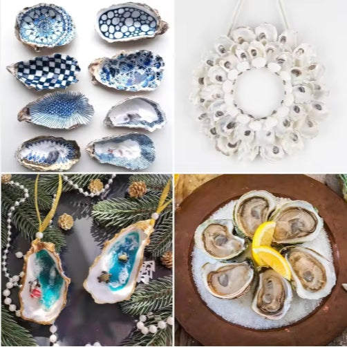 Pearl-Adorned Natural Oyster Shells (30pc Coastal Set)