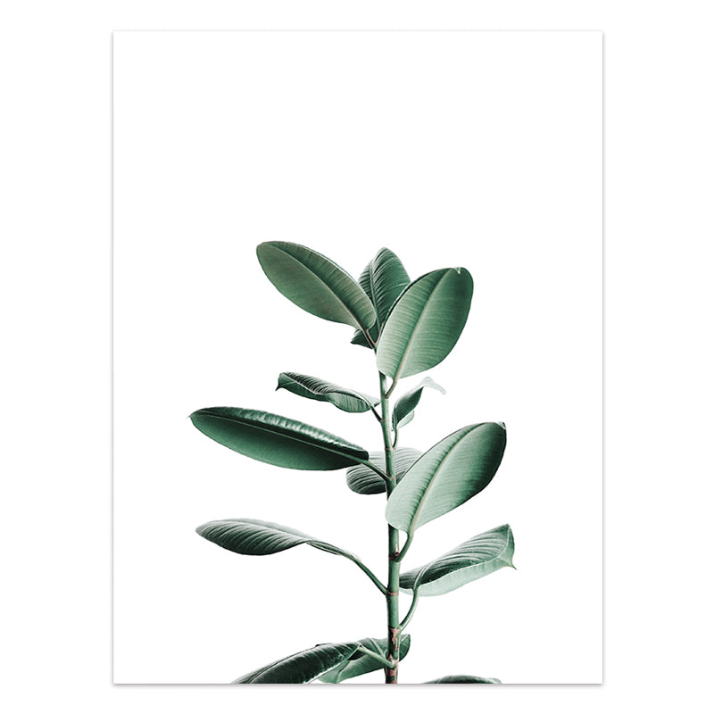 Tropical Leaf Canvas Wall Art Print