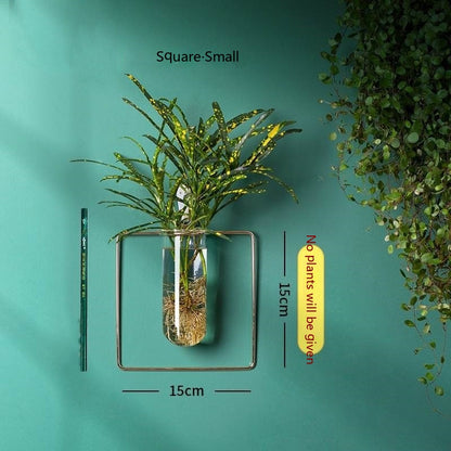 Wall-Mounted Glass Propagation Planter
