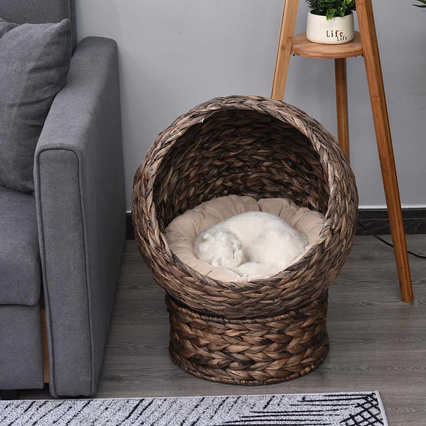 Elevated Wicker Kitten Nest with Plush Cushion