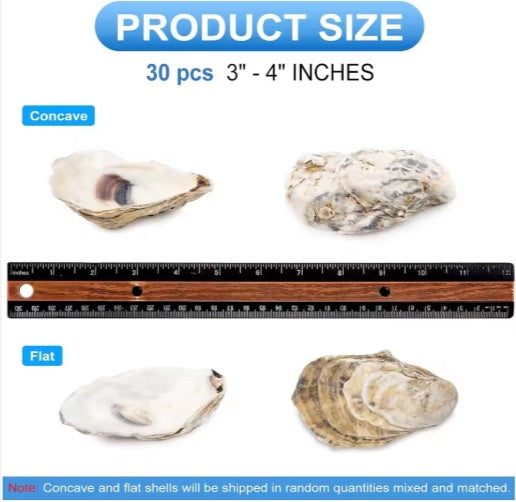 Pearl-Adorned Natural Oyster Shells (30pc Coastal Set)