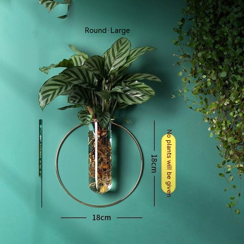 Wall-Mounted Glass Propagation Planter