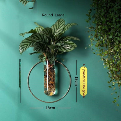 Wall-Mounted Glass Propagation Planter