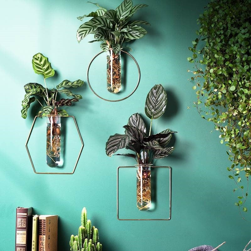 Wall-Mounted Glass Propagation Planter