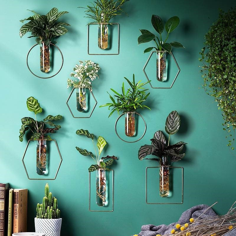 Wall-Mounted Glass Propagation Planter